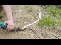 Reciprocating saw for cutting tree roots