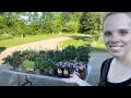 Plant Haul From Walmart Menards Simply Bloom
