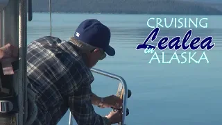 Cruising Lealea: Away from it all, St John Harbor Alaska watching whales