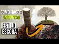 Download Lagu 3 años de trabajo resumidos en 5 minutos! | Como hacer un bonsai de olmo estilo escoba hokidachi
