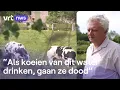 Download Lagu Droogte en ook verzilting een probleem in West-Vlaamse polders