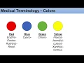 Medical Terminology - The Basics Lesson 1 1