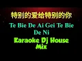 Download Lagu te bie te ai gei te bie de ni karaoke 特别的爱给特别的你 dj house mix || Wu Si Kai 伍思凯