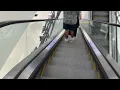 Schindler escalators inside Macys at The Mall at University Town Center at Sarasota Florida