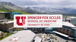 Being an LIC Preceptor