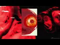Insects - Darko US