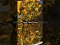 Download Lagu Het geheim van heerlijke veganistische boerenkool