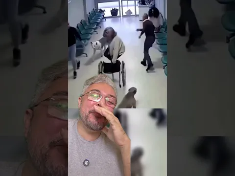 O CACHORRO FELIZ