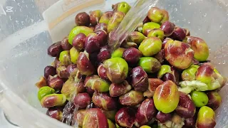 Aceitunas partidas Andaluzas