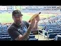 Tropicana Field Tampa Bay Rays Wild WIN - Inside The Park HOME RUN Foot Long Hot Dog Much More