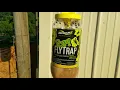Do fly traps from tractor supply really work