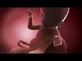 Your baby at 18 weeks Week-by-week pregnancy MadeForMums