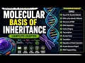 Molecular Basis of Inheritance Class 12 Biology Chapter 6 NEET 2027 NCERT Line by Line