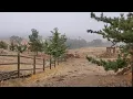 Snow in Tehachapi