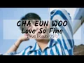 Download Lagu Cha Eun Woo 차은우 – Love so Fine (True Beauty OST)