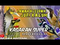 Download Lagu JURI KAGUM LAWAN NGEDOWN || BURUNG TEMBAKAN Kasar MASTERAN BURUNG FIGHTER - SUPER MEWAH