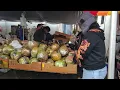Orange Coast College Swap meet
