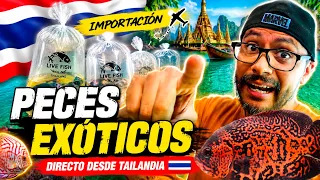 abrimos cajas de peces exoticos de tailandia 