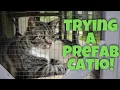 Trying a Prefab Catio - Unboxing Setup Tour
