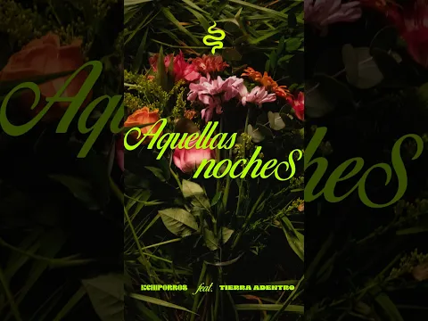 Ya está afuera. AqueeeLlaaaAss Nooo00cheeess.vDisponible en plataformas digitales