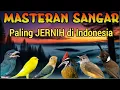 Download Lagu MASTERAN MURAI FULL ISIAN SUARA JERNIH MATERI MEWAH JADIKAN MURAI JUARA