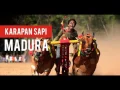 Download Lagu Kerraban Sape [Versi Original] - Lagu Daerah Madura - Jawa Timur - Indonesia