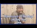 Download Lagu Tennessee Whiskey Official Music Video [Covered By: Cool Ricky Blues]
