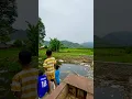 Download Lagu Mancing ikan di sungai‼️ #short