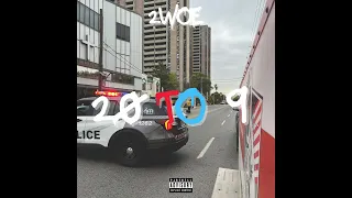 2WOE 20 TO 9 OFFICIAL VISUALIZER 