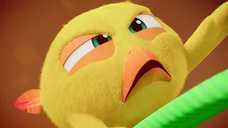 Где Чики? Чики и динозавр 🐥 | Лучшие серии | Мультфильм для детей на русском
