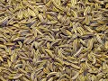 Cumin 101 - Tips and Ideas Part 1