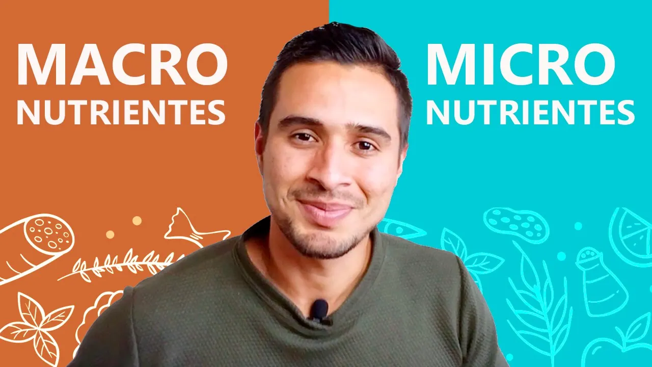 🍖🍐Que son los MACROY MICRONUTRINETES - ¿ Para que Sirven ? - (bien explicado)