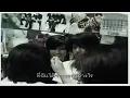 ขอบคุณที่รักกัน Medium Version  - Potato【OFFICIAL MV】