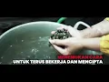 Download Lagu INDONESIA TANGGUH INDONESIA TUMBUH