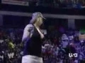 STEPHANIE MCMAHON BREAST