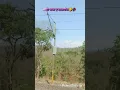 Download Lagu Jaldi aja e-balamua || Forest Range || Bhojpuri song #shorts#tranding#ytshorts#sadstatus#love#reels