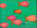 Fish - Coming up Next