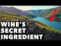 Download Lagu Why GREAT Wine Regions Are Near Water - It's NOT What You Think!