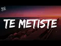 Te Metiste (Lyrics/Letra) - Ariel Camacho y Los Plebes Del Rancho