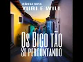 Os Bico Tao Se Perguntando (Piseiro)
