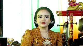 Download SAMBUNG WANCI DALU voc ; INTAN KADAVIE // CINDE LARAS MP3