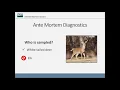 CWD Program Standards Overview for Accredited Vets and Collectors