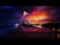 Bazzi vs. Vincent Remix - Paradise