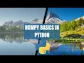 What is Numpy Basics in Python