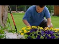 IFA Weed Feed - Ultimate Power Move 30