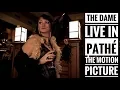 Download Lagu The Dame - Losing sight of what you want (official video)