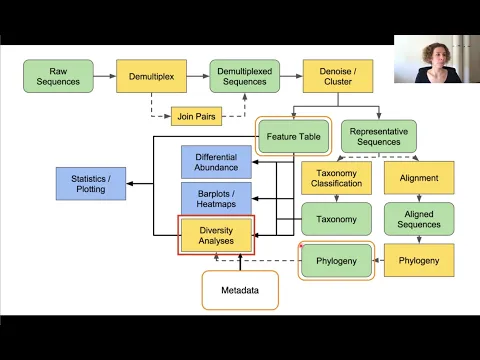 Computing diversity metrics