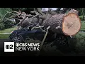 Plainfield New Jersey under state of emergency due to severe weather damage