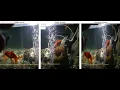 Stitching Panorama Robust Feature-based Image Matching OpenCV Python