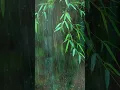 Download Lagu Falling into Deep Sleep Instantly with Forest Beautiful Heavy Rain \u0026 Thunder at Night - RainForest